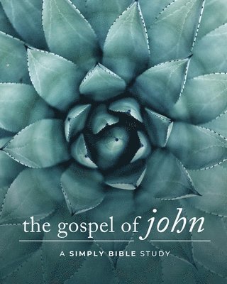 bokomslag Gospel of John