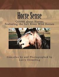 bokomslag Horse sense: Quotes about Horses