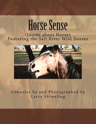 bokomslag Horse sense: Quotes about Horses