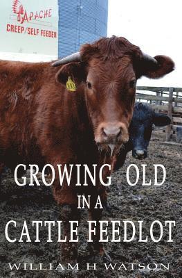 Growing Old in a Cattle Feed lot 1