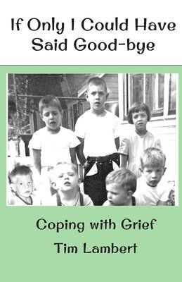 bokomslag If Only I Could Have Said Good-bye: Coping with Grief