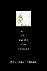 bokomslag Not All Ghosts Are Enemies