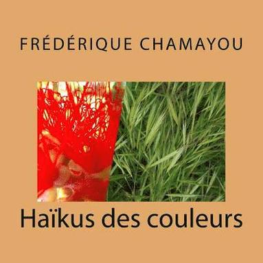 bokomslag Haïkus des couleurs