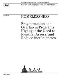 bokomslag Homelessness: fragmentation and overlap in programs highlight the need to identify, assess, and reduce inefficiences: report to cong