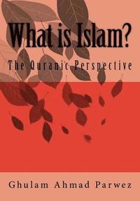 bokomslag What is Islam?: The Quranic Perspective