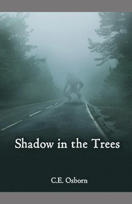 Shadow in the Trees 1