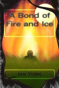 bokomslag A Bond of Fire and Ice