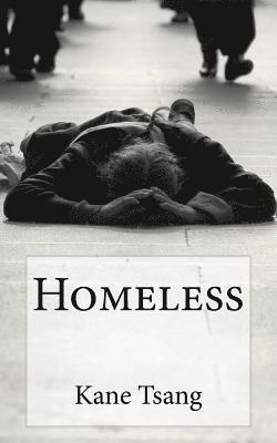 bokomslag Homeless