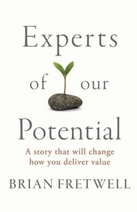 bokomslag Experts Of Our Potential: A Story That Will Change The Way You Deliver Value