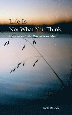 Life Is NOT What You Think: Permission To Go Out Of Your Mind 1