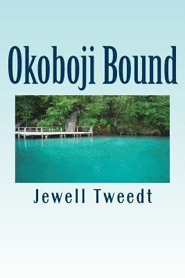 bokomslag Okoboji Bound--A Contemporary Mystery: The Lost Gold