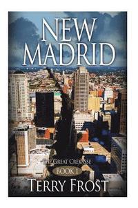 bokomslag New Madrid The Great Crevasse: Book 1