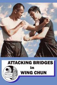 bokomslag Attacking bridges in Wing Chun