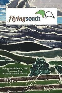 bokomslag Flying South 2017