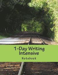 bokomslag 1-Day Writing Intensive