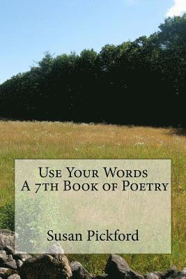 bokomslag Use Your Words A 7th Book of Poetry