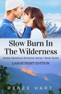 bokomslag Slow Burn In The Wilderness: [Large Print Edition]