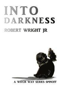 bokomslag Into Darkness