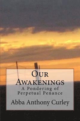 bokomslag Our Awakenings: A Pondering of Perpetual Penance