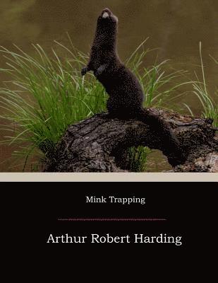 Mink Trapping 1