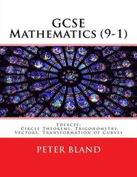 bokomslag GCSE Mathematics (9-1): Edexcel: Circle Theorems, Trigonometry, Vectors, Transformation of Curves
