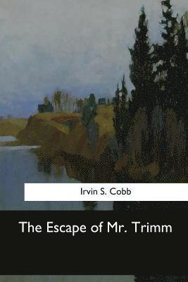 bokomslag The Escape of Mr. Trimm