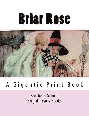 Brothers Grimm, Bright Reads Books - Briar Rose: A Gigantic Print Book, Häftad