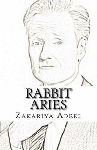 bokomslag Rabbit Aries