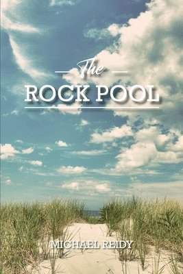 Michael Reidy - The Rock Pool, Häftad