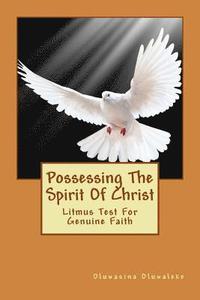 bokomslag Possessing The Spirit Of Christ
