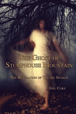 bokomslag The Ghost of Stumphouse Mountain: The Revelation of Tim the Shaker