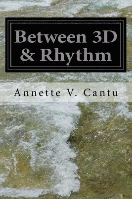bokomslag Between 3D & Rhythm: Thirty Perspectives