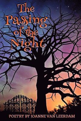 Joanne Van Leerdam - The Passing Of The Night, Häftad