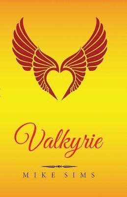 bokomslag Valkyrie