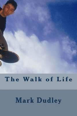 bokomslag The Walk of Life