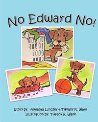 bokomslag No Edward No!