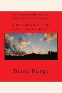 bokomslag A Dream Which Was Not A Dream At All: God's Purpose and Our Response to Dreams