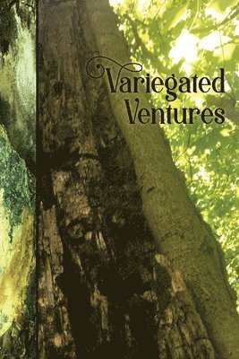 Variegated Ventures 1