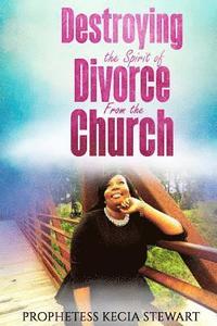 bokomslag Destroying The Spirit of Divorce From the Church