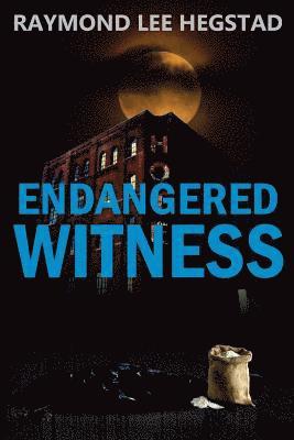 Endangered Witness: A crime thriller with romance, turns and a rewarding ending. 1