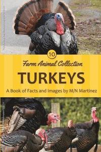 bokomslag Turkeys