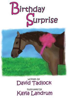 Birthday Surprise 1