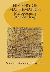 bokomslag History of Mathematics: Mesopotamia (Ancient Iraq)