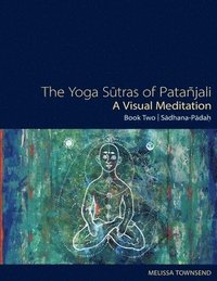 bokomslag The Yoga Sutras of Patanjali - A Visual Meditation: Book Two: Sadhana Padah