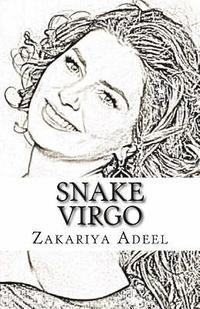 bokomslag Snake Virgo