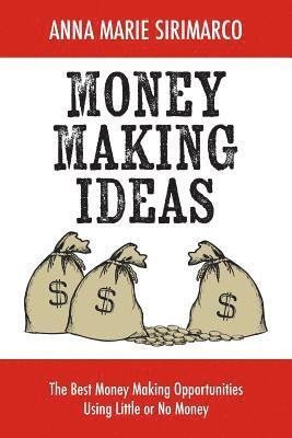 Money Making Ideas: The Best Money Making Opportunities Using Little or No Money 1