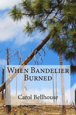 When Bandelier Burned 1