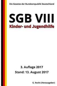 bokomslag SGB VIII - Kinder- und Jugendhilfe, 3. Auflage 2017