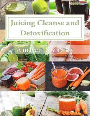 Alex Chhuom, Amber Swaney - Juicing Cleanse and Detoxification: 15 Easy Juicing Recipes and Diet, Häftad