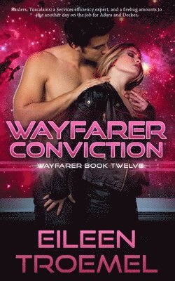 bokomslag Wayfarer Convictions